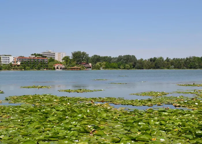 Complex Amazon Pensión 3*