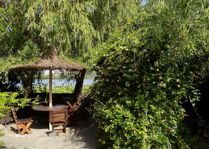 Complex Amazon Pensión 3*